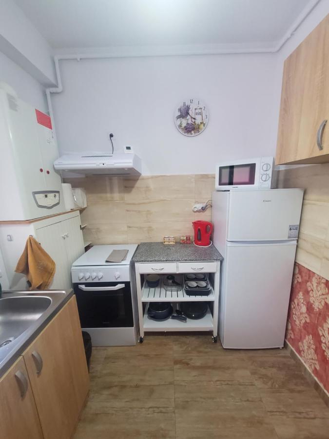 Morii Lake Special Apartment Букурещ Екстериор снимка